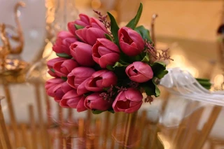 مسكة عروسة التوليب
